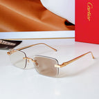 Brown photochromic lenses