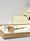 Brown photochromic lenses